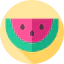 Watermelon 图标 64x64
