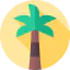 Palm tree 图标 64x64