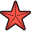 Starfish 상 64x64