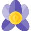 Orchid ícono 64x64