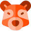 Racoon 图标 64x64