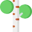 Birch icon 64x64