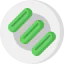Pickles icon 64x64