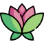 Lotus flower アイコン 64x64