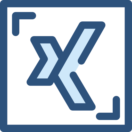 Xing icon