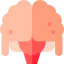 Brain ícono 64x64