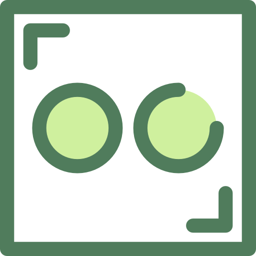 Flickr icon