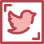 Twitter Symbol 64x64