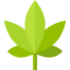 Marijuana 图标 64x64