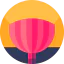 Pom pom 图标 64x64
