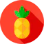 Pineapple icon 64x64