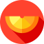 Citrus icon 64x64