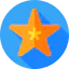 Starfish icon 64x64