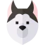 Siberian husky icon 64x64