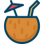 Coconut icon 64x64