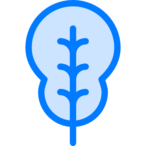 Spinach icon