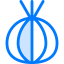 Onion 图标 64x64