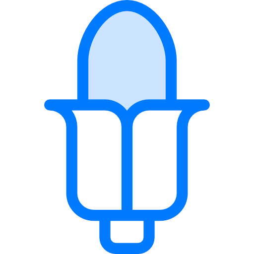 Corn icon