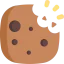 Cookie icon 64x64