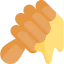 Honey icon 64x64