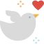 Dove icon 64x64