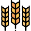 Wheat 图标 64x64