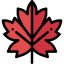 Leaf 图标 64x64