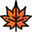 Leaf 图标 64x64