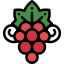 Grapes 图标 64x64