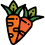Carrot 图标 64x64