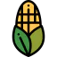 Corn 图标 64x64