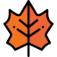 Leaf 图标 64x64