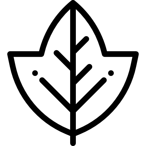 Leaf icon