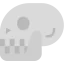 Skull Ikona 64x64