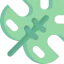 Leaf icon 64x64