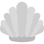 Scallop icon 64x64