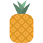 Pineapple 图标 64x64