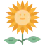 Sunflower icon 64x64