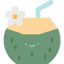 Coconut icon 64x64