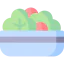 Salad icon 64x64