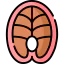 Fish Symbol 64x64