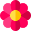 Flower іконка 64x64