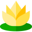 Water lily іконка 64x64