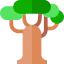 Baobab Ikona 64x64