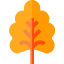 Oak leaf іконка 64x64