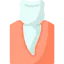 Premolar アイコン 64x64