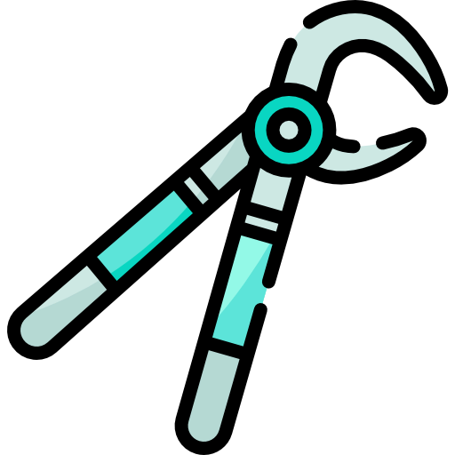 Forceps icon