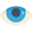 Eye ícone 64x64
