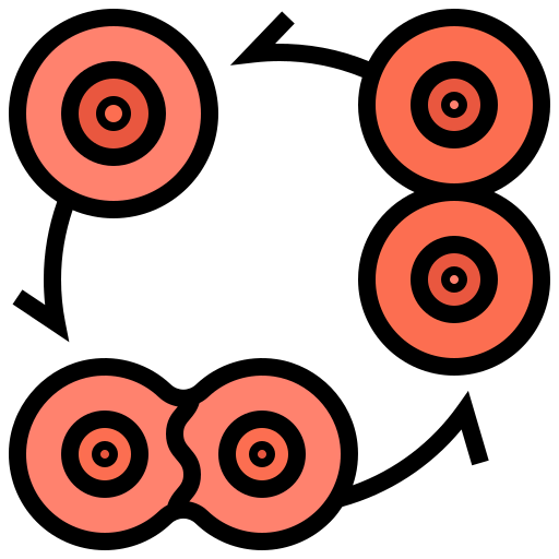 Cell division 상