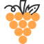 Grapes icon 64x64